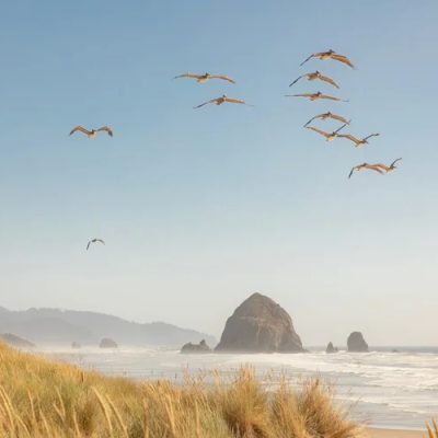OregonCoast-CannonBeach-Family-Photography-24-009
